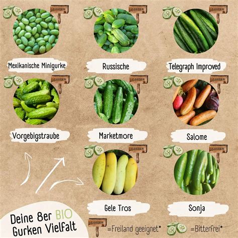 verschiedene Gurkensorten