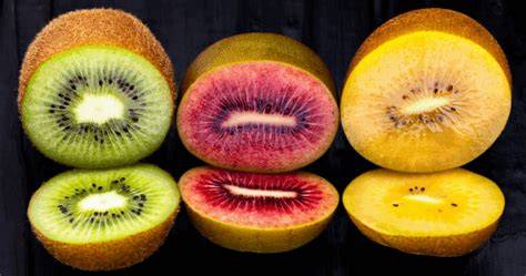 verschiedene Kiwi-Sorten (grün, gold, rot)