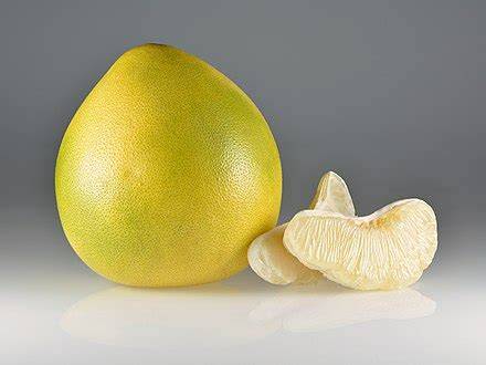 verschiedene Sorten von Pomelo, Frucht und Baum, Herkunftsregionen auf Karte