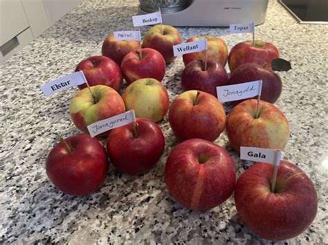 verschiedene apfelsorten (boskop, jonagold, elstar, gala) mit beschriftung und einsatz für kuchen