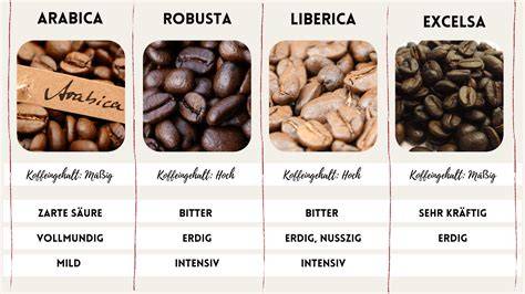 verschiedene kaffeesorten bohnen tassen