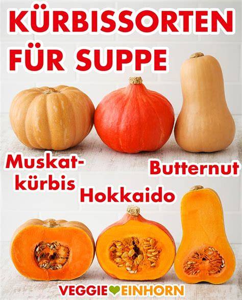 verschiedene türkische Kürbissorten (Hokkaido, Butternut, Muskat)