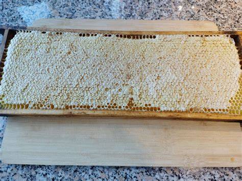 wabenhonig wabe bienenstock