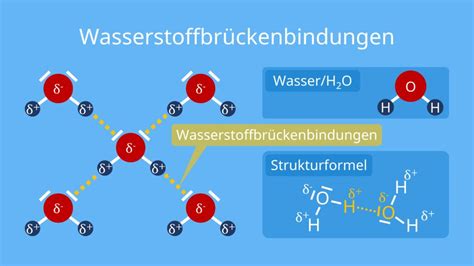 wissenschaftliche Darstellung - molekulare Struktur von Wasser und Zucker